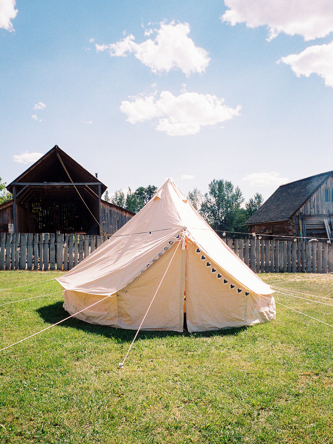 yurt-tent