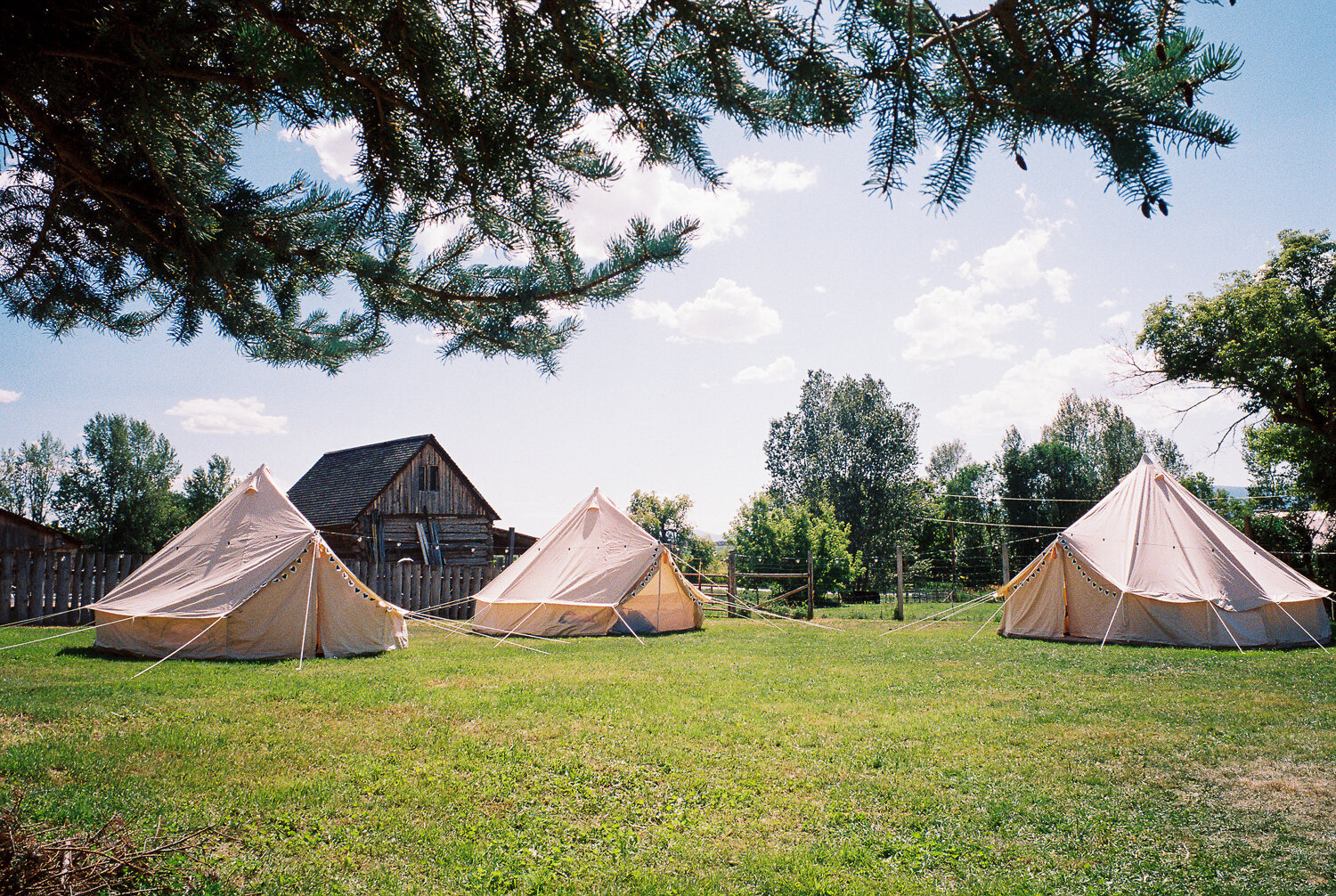 yurt-tents